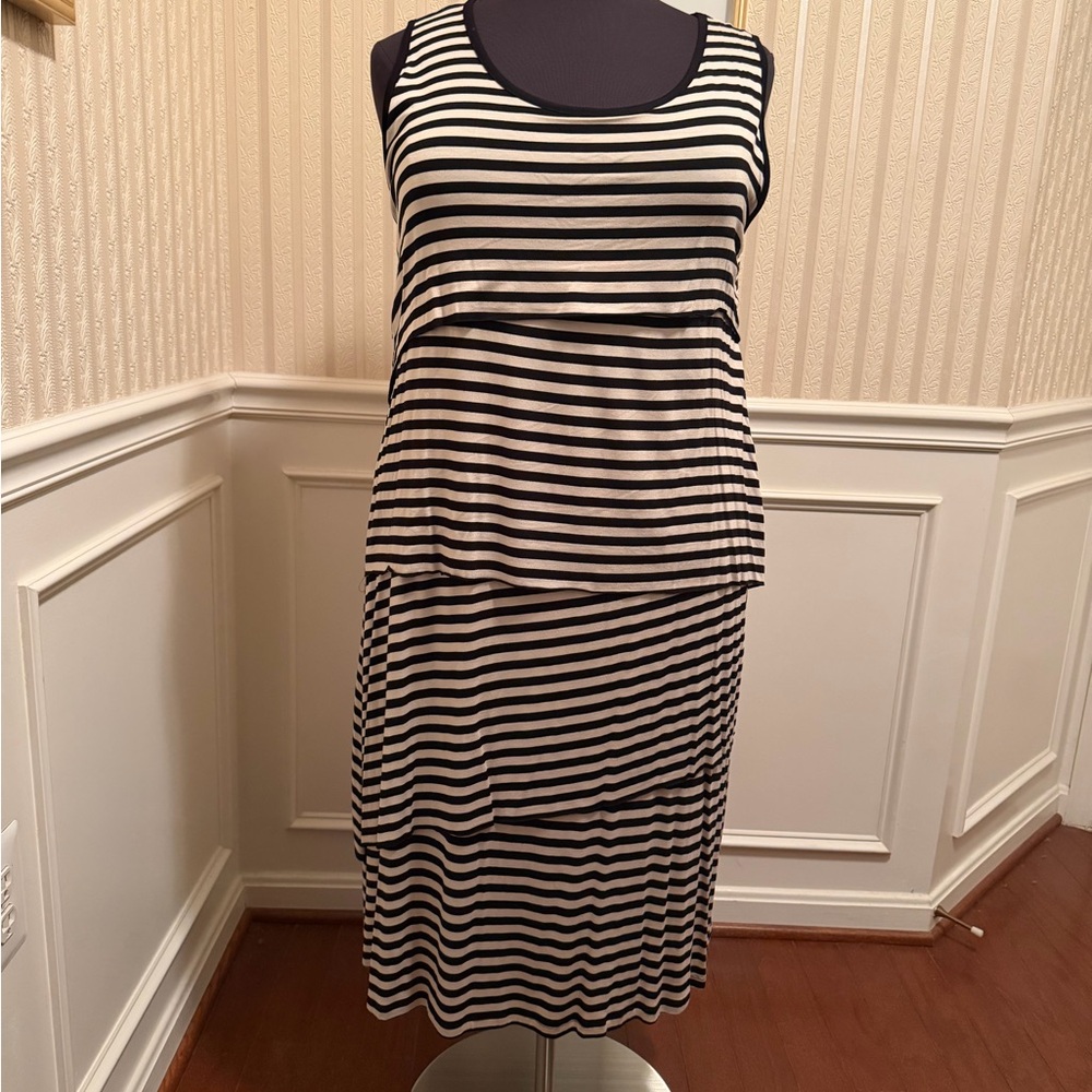 Design History Black and White Striped Midi Dress